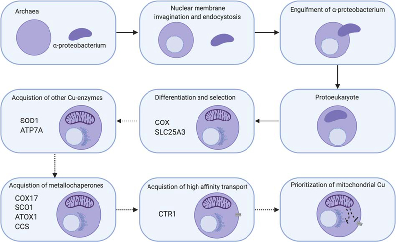 Figure 10: