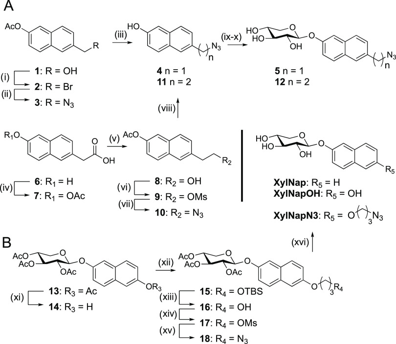 Scheme 1