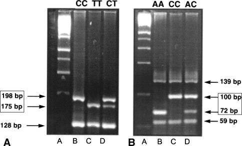 Fig. 1A–B