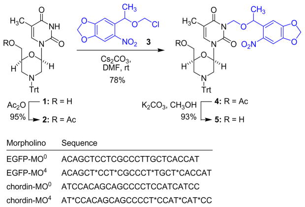 Scheme 2