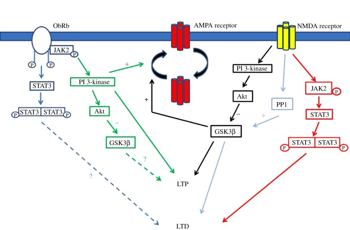 Figure 2.