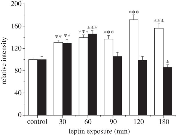 Figure 1.