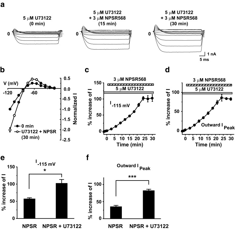 Fig. 11