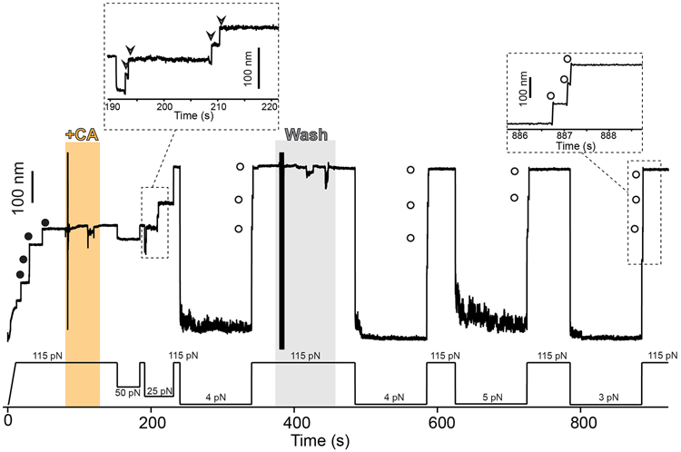 Extended Data Fig. 2