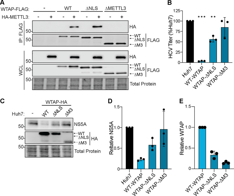 FIG 6