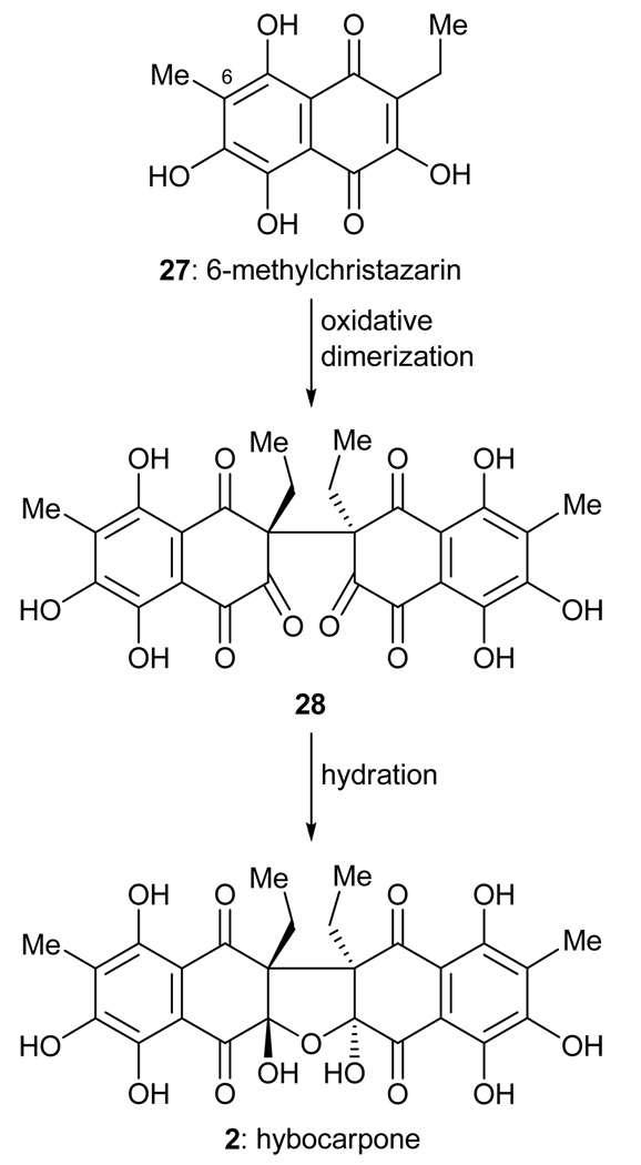 Scheme 4