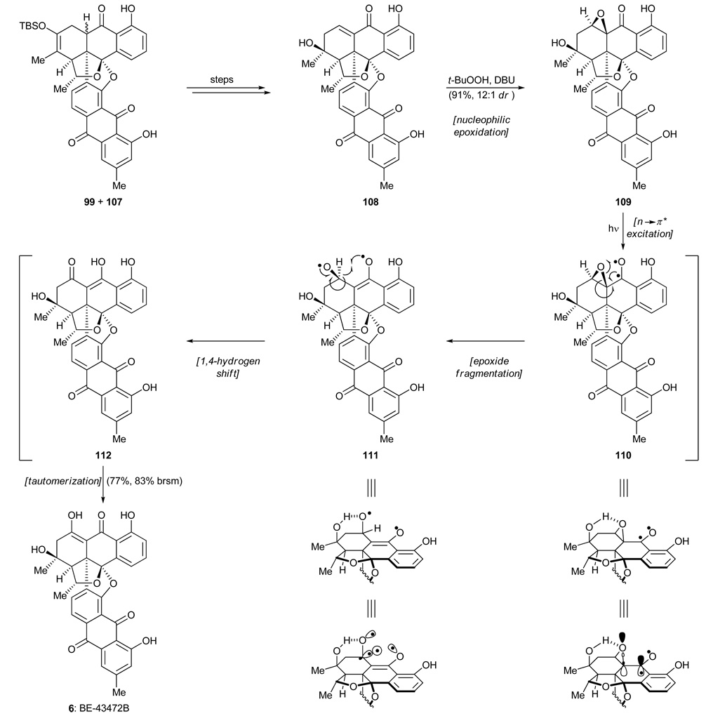 Scheme 16