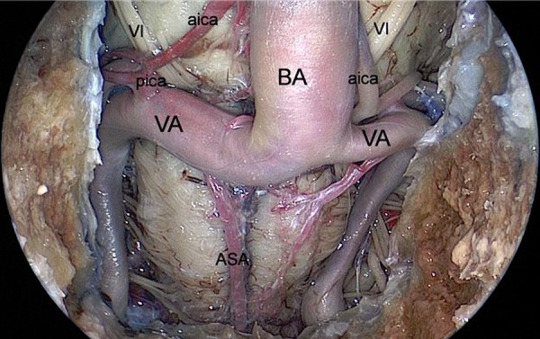 Figure 7: