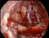 Figure 12: