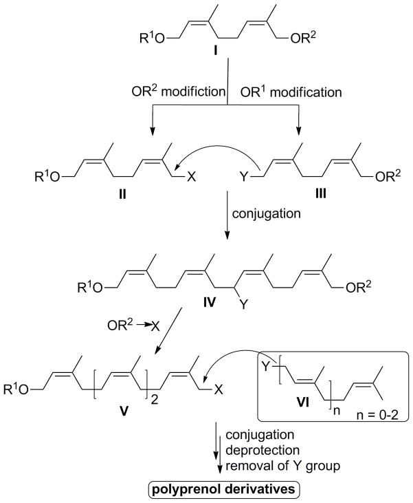 Scheme 1