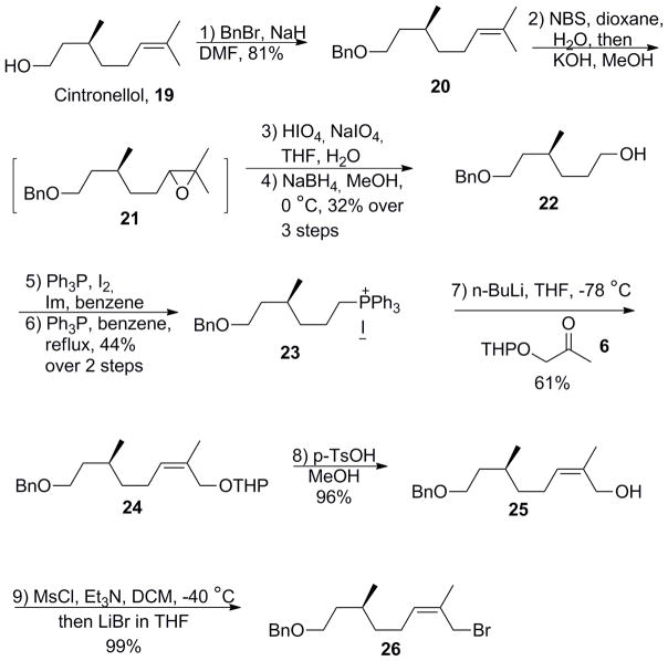 Scheme 5