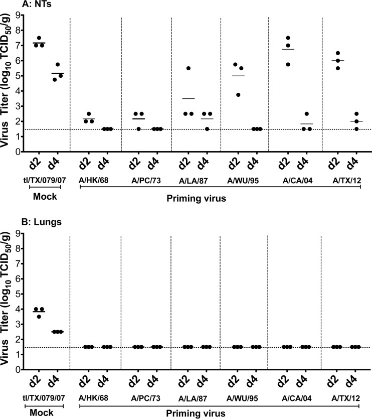 FIG 6