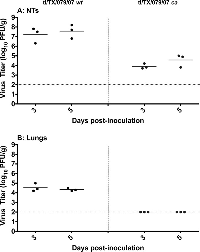 FIG 2