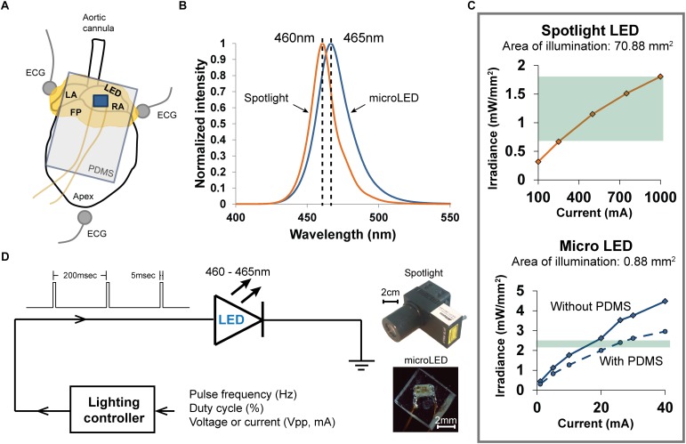 FIGURE 1