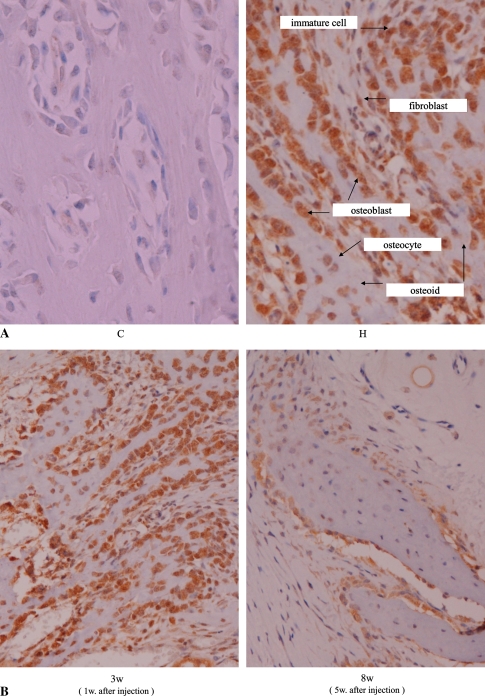 Fig. 8A–B