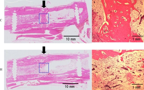 Fig. 6