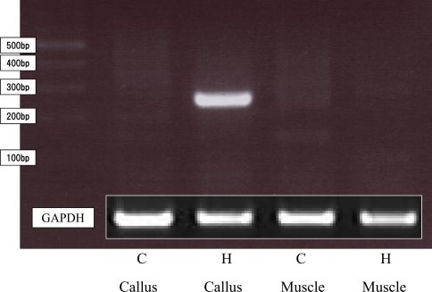 Fig. 7