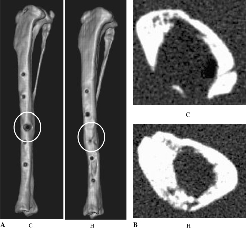 Fig. 4A–B