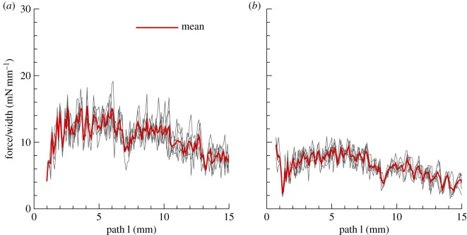 Figure 7.