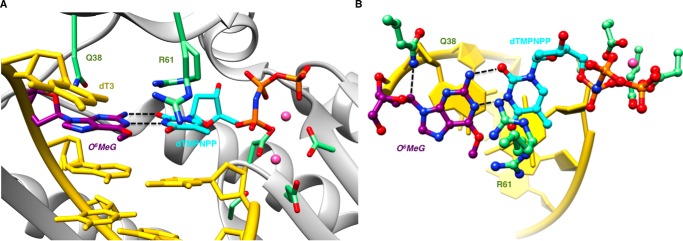 FIGURE 4.