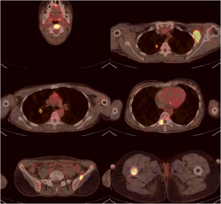 Fig. 5