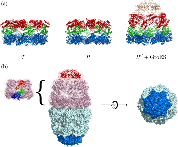 Figure 2