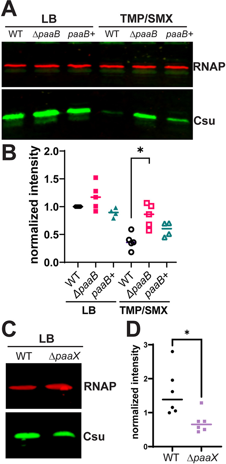 FIG 4