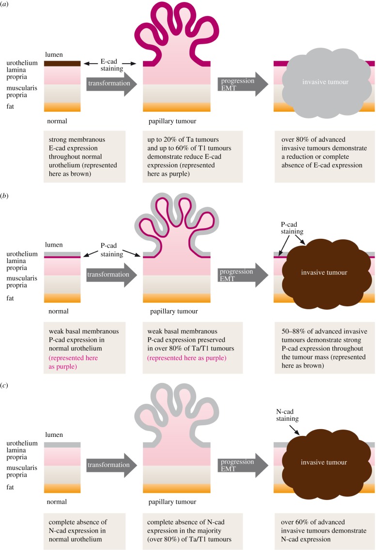 Figure 2.