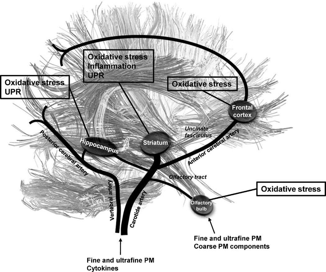 Fig. 6