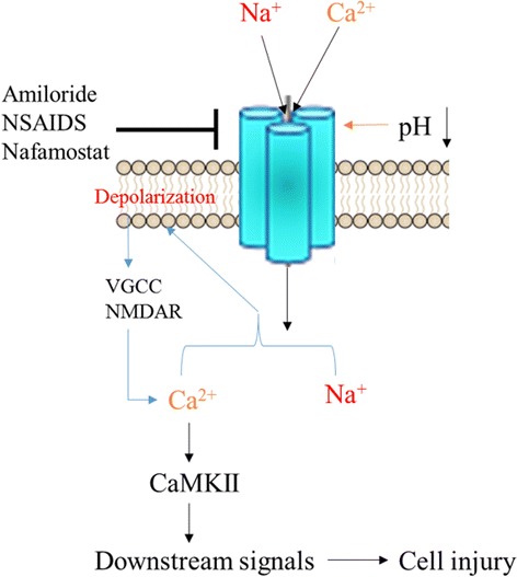 Fig. 2