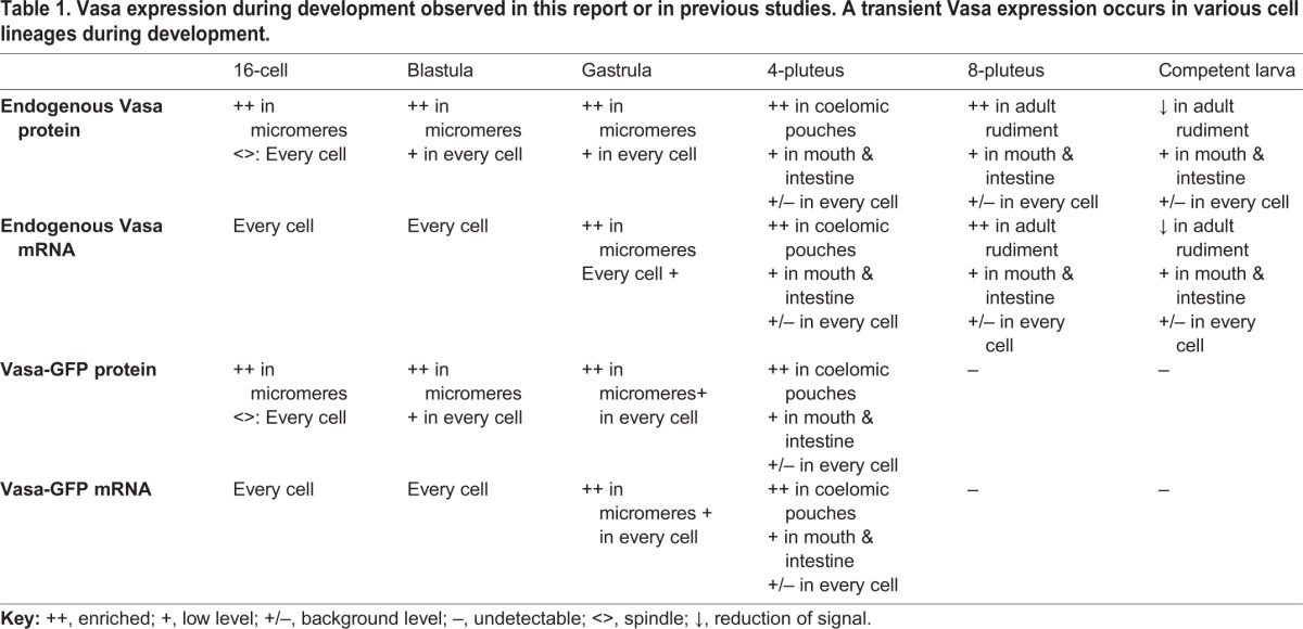 graphic file with name develop-142-118448-i1.jpg