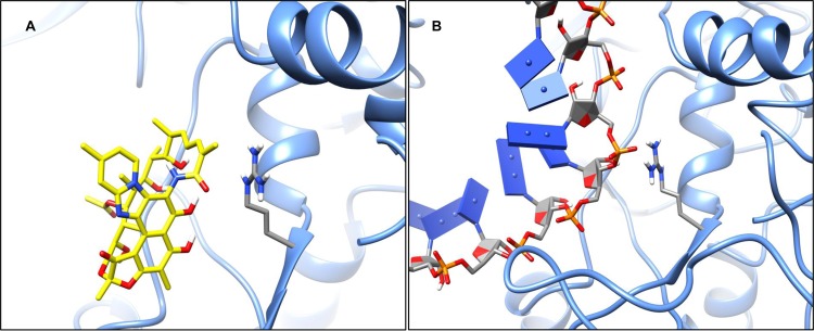 FIG 3