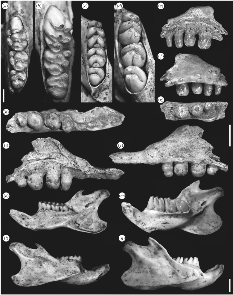 Figure 3.