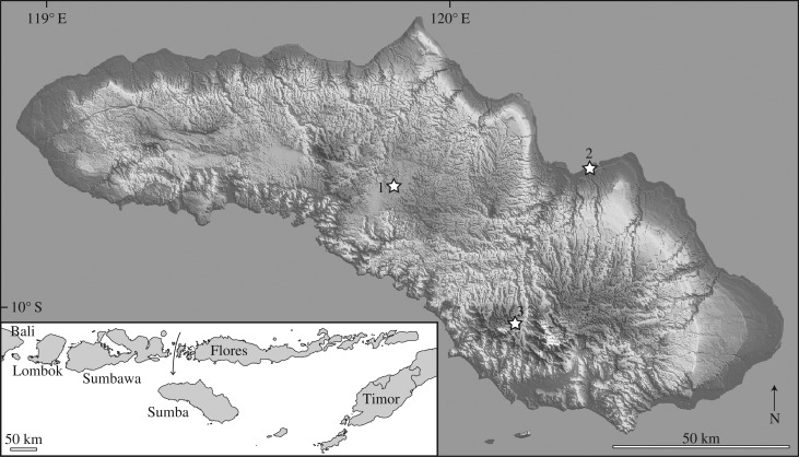 Figure 1.