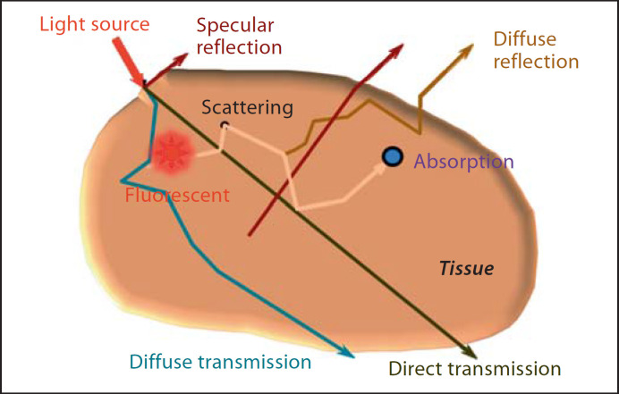 Fig. 8