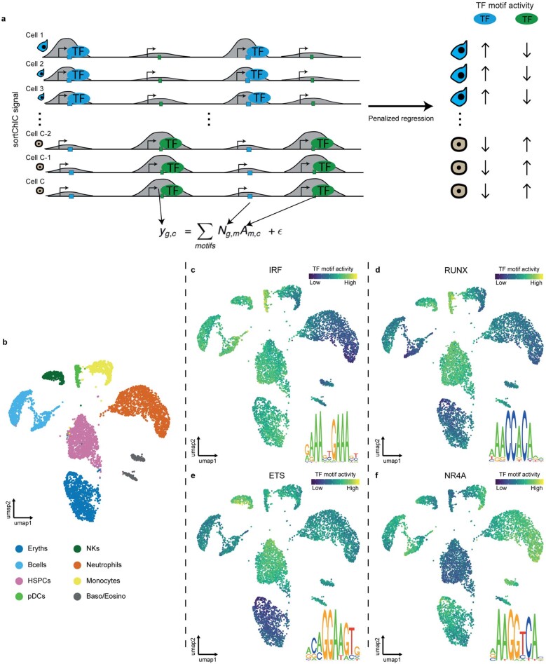 Extended Data Fig. 6