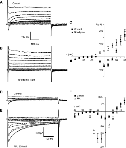 Fig. 5.