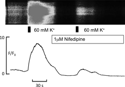 Fig. 9.