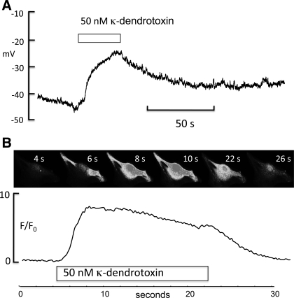 Fig. 10.