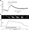 Fig. 10.