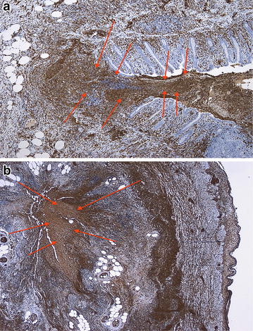 Fig. 3