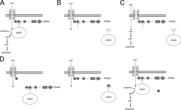 Figure 9.