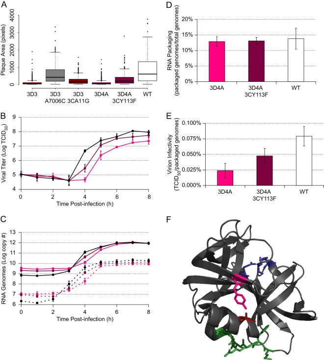 Fig 6