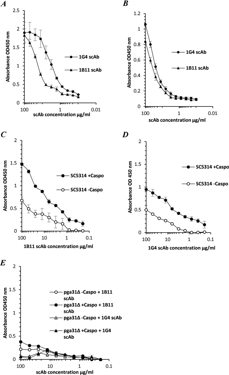 FIG 1