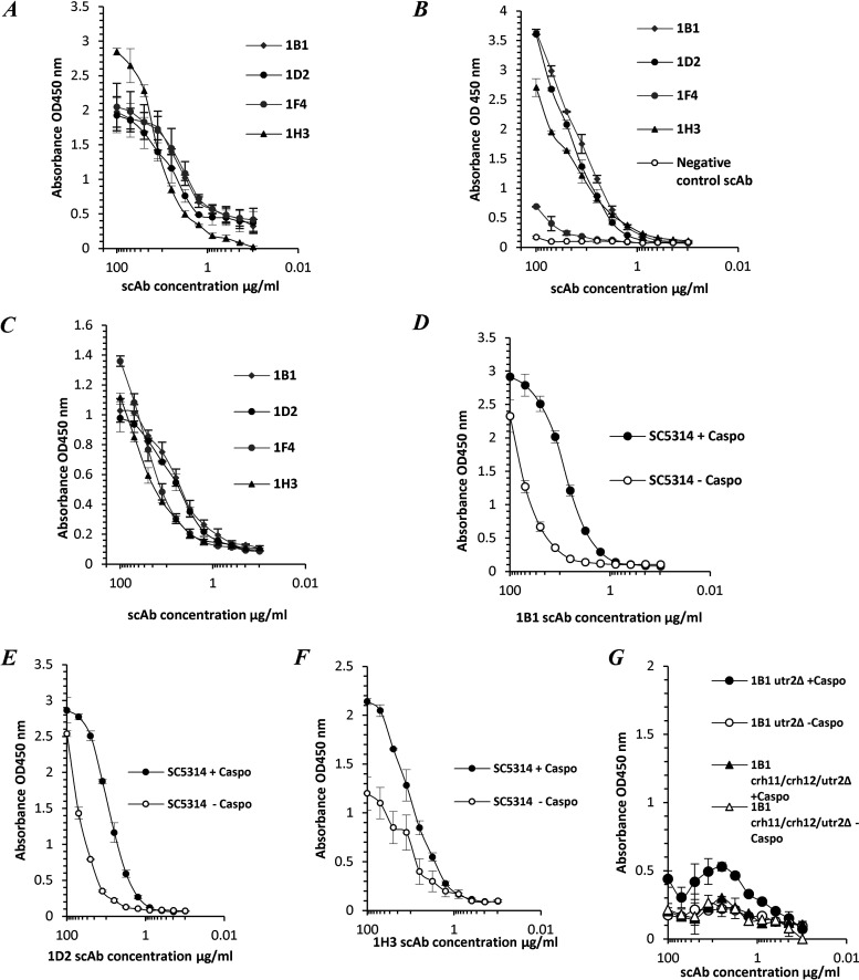 FIG 2