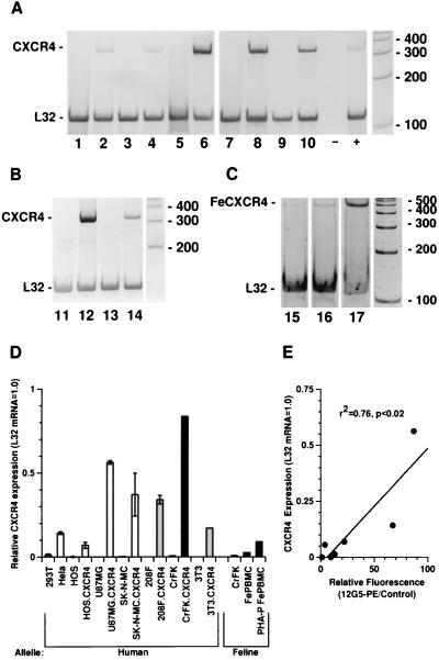 FIG. 6