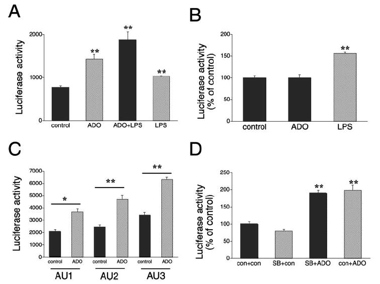 FIGURE 4