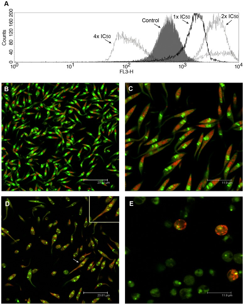 Figure 6