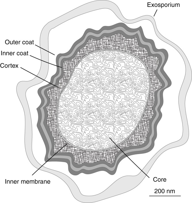 FIG 1