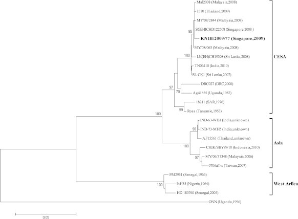 Figure 3